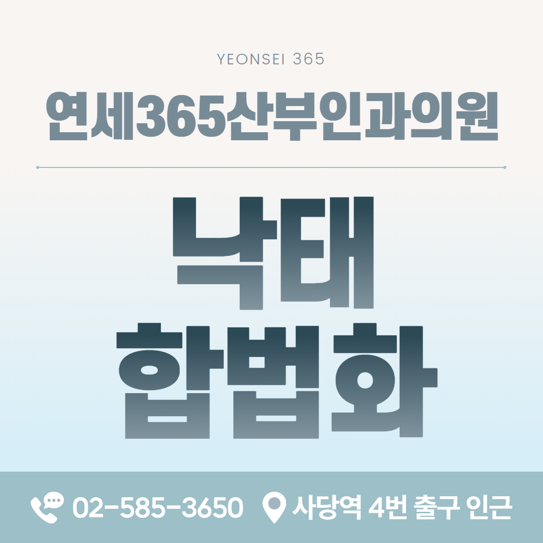 비용과 수술 판단 전 확인하는 낙태 합법화 현재 상태 카드 이미지